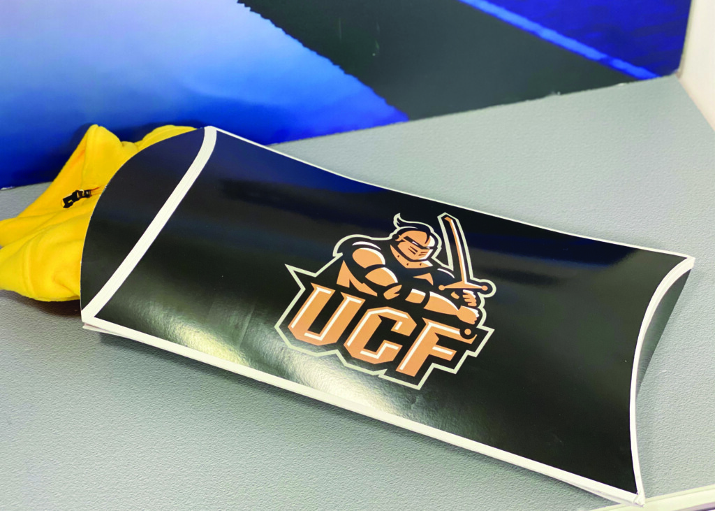 UCF Pillow Pod